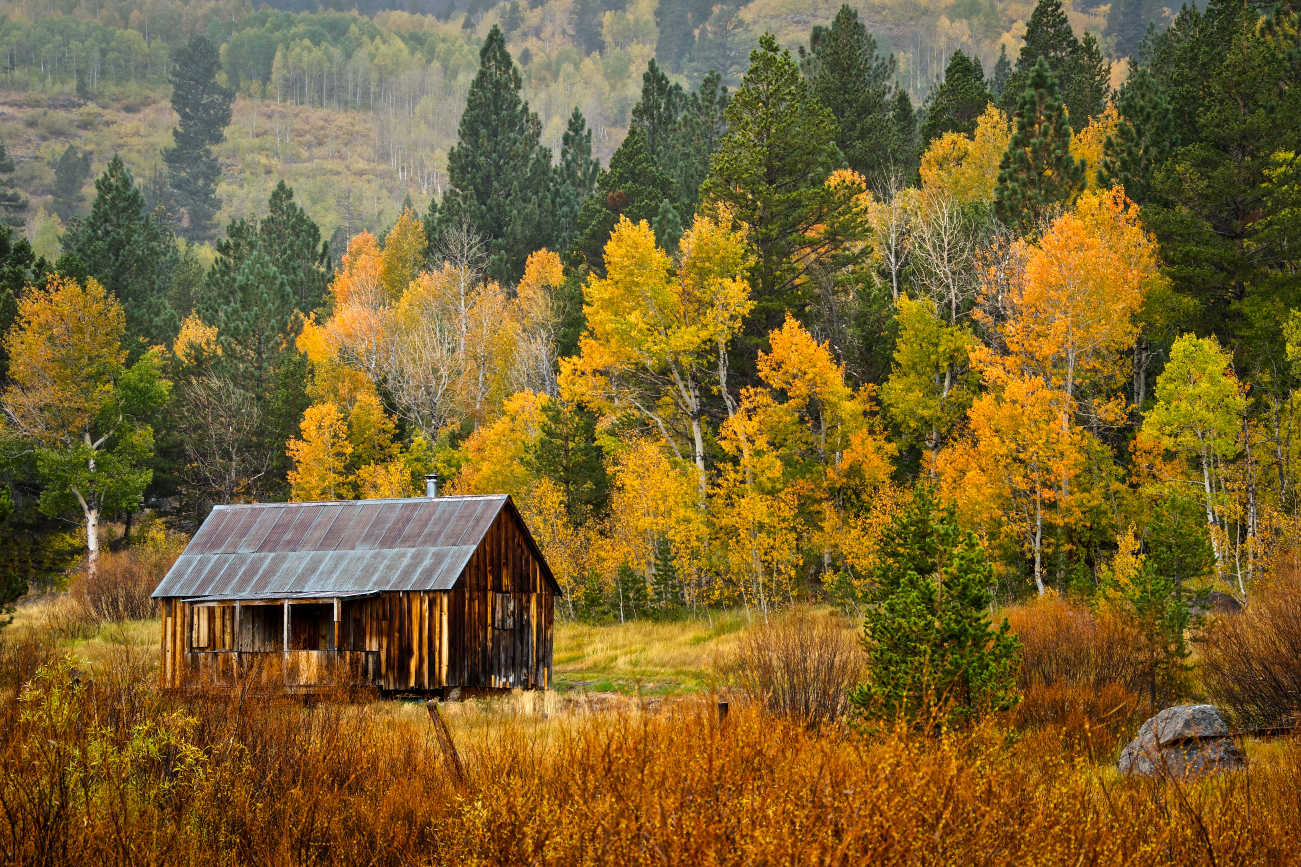 Cabin in the Woods | Shutterbug